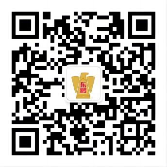 东升国际(中国区) - 官方网站